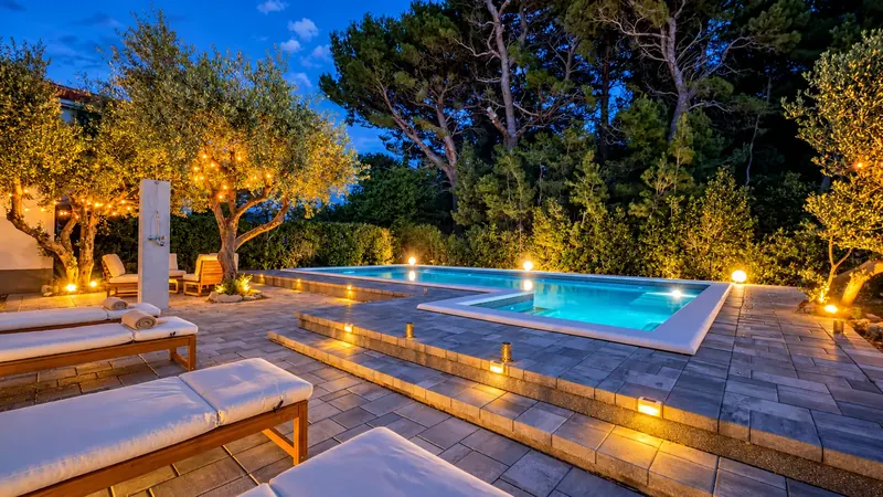 Illuminated pool and olive tree at dusk
